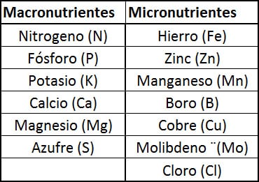 Macronutrientes y micronutrientes en el Acuario plantado