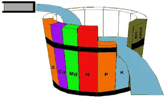 Ley de Liebig Acuario plantado