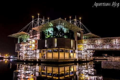 Oceanario de Lisboa