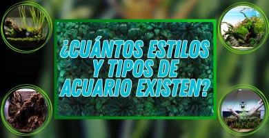 ¿Cúales son los diferentes tipos de acuarios?