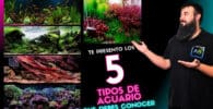 5 tipos de acuario mas conocidos