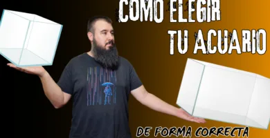Como elegir tu acuario perfecto