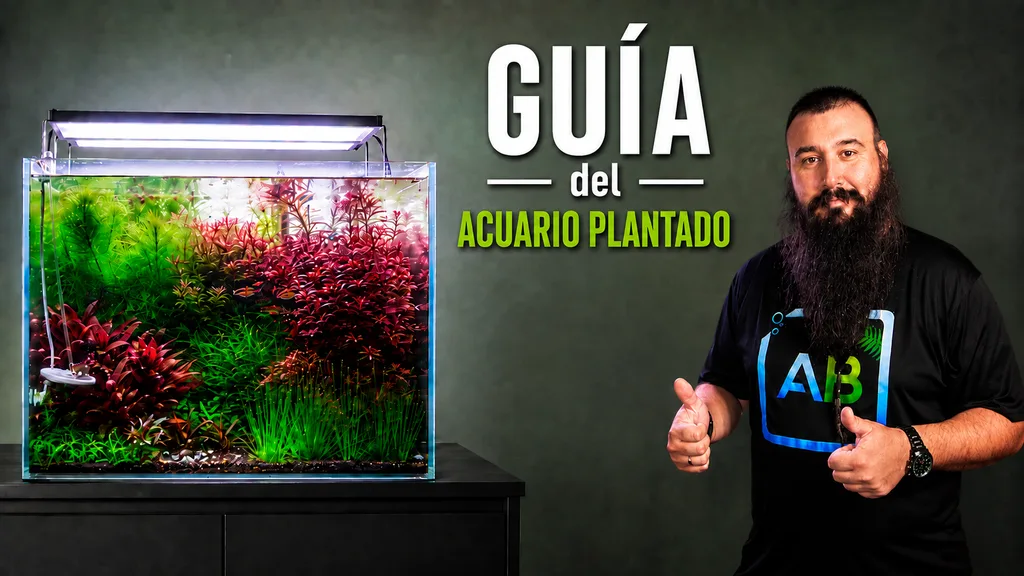 Portada de la Guía del acuario plantado