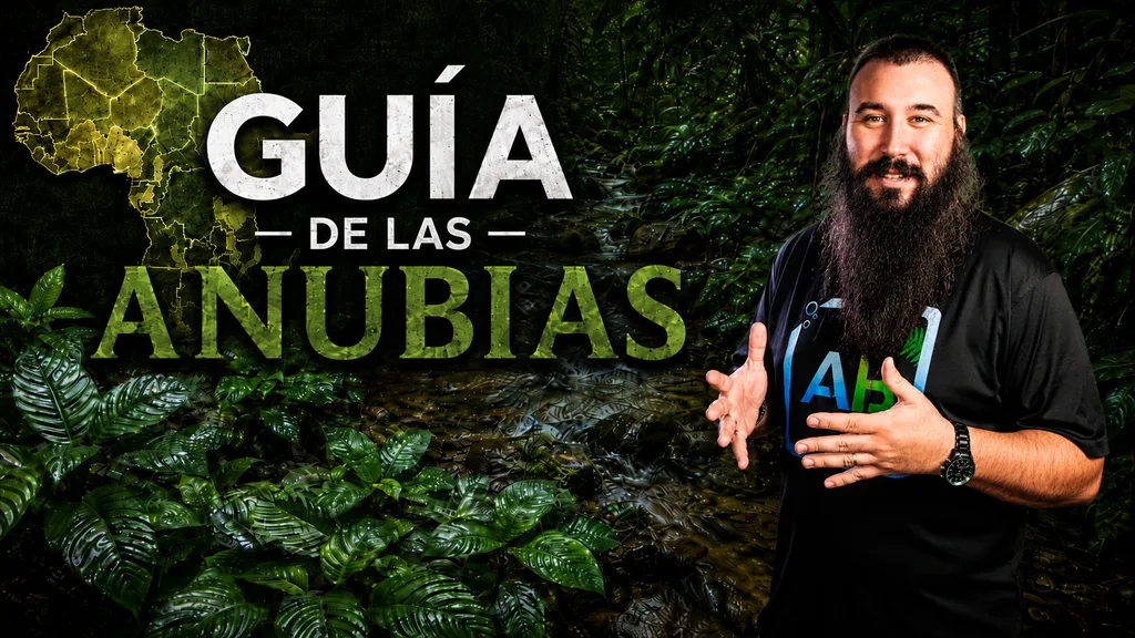 Portada de la Guía completa de las Anubias