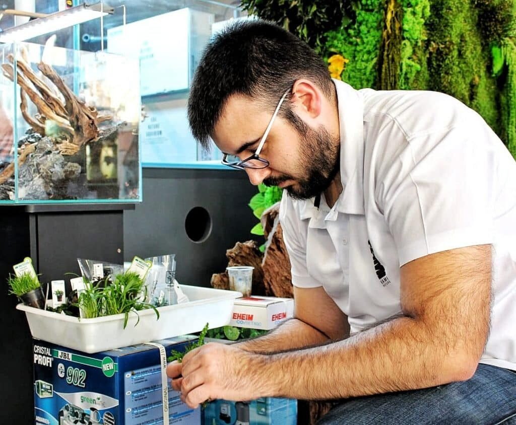 Limpiando plantas acuario